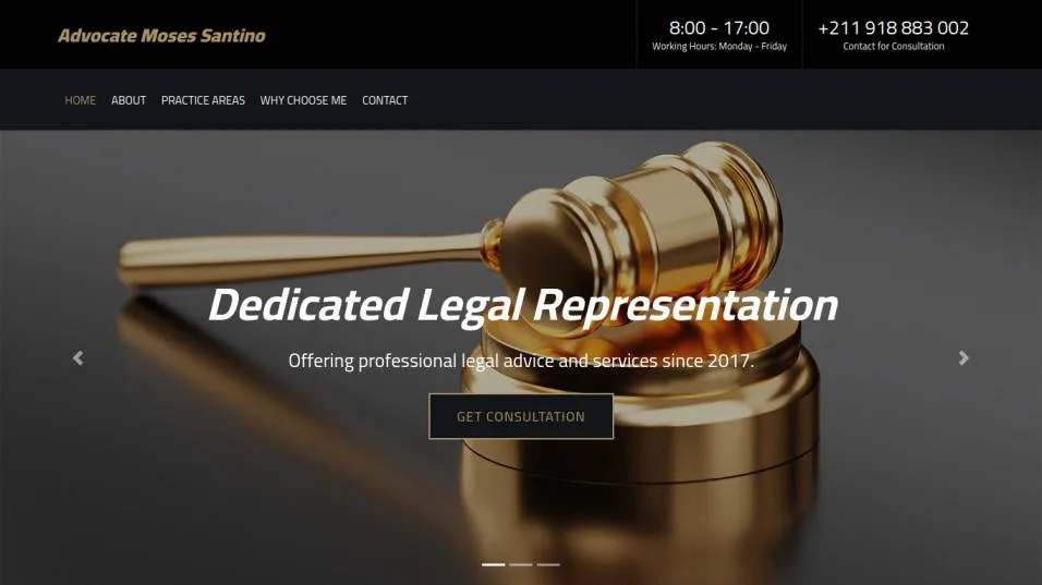 Advocate Moses Portfolio preview